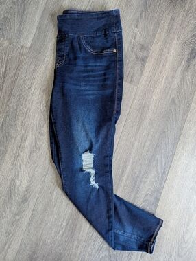 Rock & Republic Dark Wash Jegging